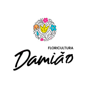 LOGO DAMIAO